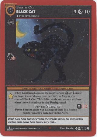 Black Cat 40 159 Reverse Holo Silver 1st Edition Cryptid Nation 1st Edition Reverse Holo Singles Black Cat 40 159 Reverse Holo Silver 1st Edition Cryptid Nation 1st Edition Reverse Holo Singles