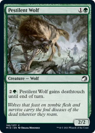 Pestilent Wolf 192 277 Innistrad Midnight Hunt Singles Pestilent Wolf 192 277 Innistrad Midnight Hunt Singles