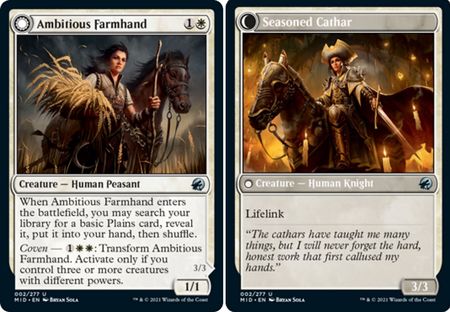 Ambitious Farmhand Seasoned Cathar 002 277 Ambitious Farmhand Seasoned Cathar 002 277