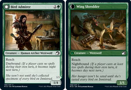 Bird Admirer | Wing Shredder 169/277 - Magic | TrollAndToad