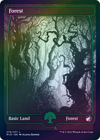Forest 276 277 Foil Innistrad Midnight Hunt Foil Singles Forest 276 277 Foil Innistrad Midnight Hunt Foil Singles