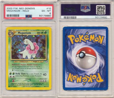 Meganium - All Graded & Non-English | TrollAndToad