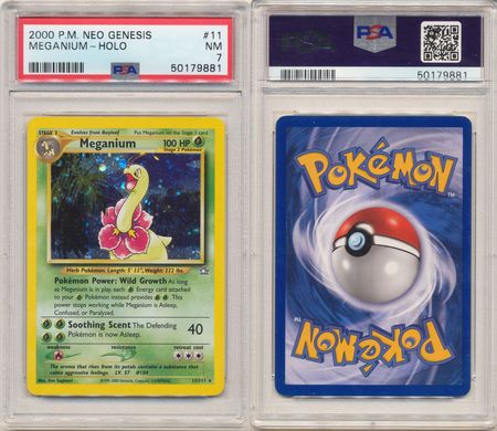 Meganium 11 111 PSA NM 7 Holo Rare Unlimited Neo Genesis 9881 Neo Genesis Unlimited Singles Meganium 11 111 PSA NM 7 Holo Rare Unlimited Neo Genesis 9881 Neo Genesis Unlimited Singles