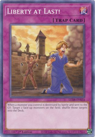 Liberty at Last LED8 EN034 Common 1st Edition Legendary Duelists Synchro Storm 1st Edition Singles Liberty at Last LED8 EN034 Common 1st Edition Legendary Duelists Synchro Storm 1st Edition Singles
