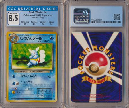Dark Wartortle CGC 8 5 NM Mint Japanese Rocket Gang 9100 Team Rocket Japanese Dark Wartortle CGC 8 5 NM Mint Japanese Rocket Gang 9100 Team Rocket Japanese