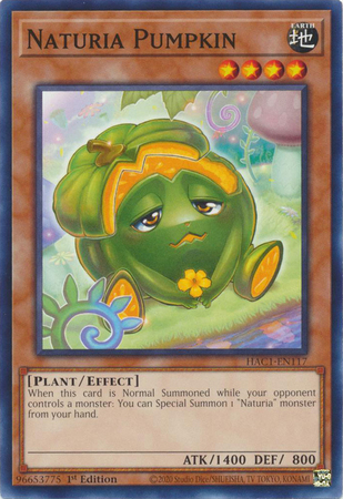 Naturia Pumpkin HAC1 EN117 Common 1st Edition Naturia Pumpkin HAC1 EN117 Common 1st Edition