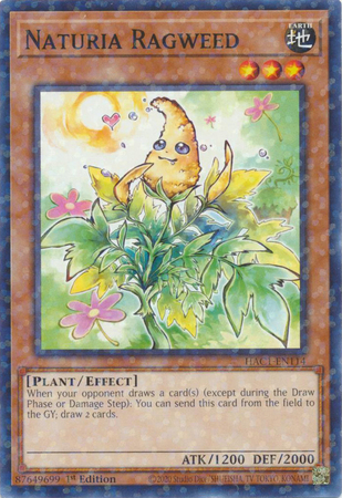 Naturia Ragweed HAC1 EN114 Duel Terminal Common Parallel 1st Edition Hidden Arsenal Chapter 1 1st Edition Singles Naturia Ragweed HAC1 EN114 Duel Terminal Common Parallel 1st Edition Hidden Arsenal Chapter 1 1st Edition Singles