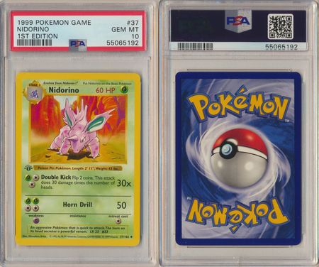 Nidorino - PSA Graded Pokemon Cards - Pokemon | TrollAndToad