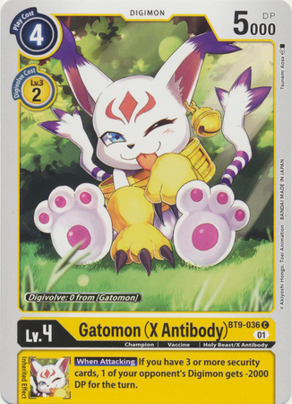 Gatomon X Antibody BT9 036 C Common Gatomon X Antibody BT9 036 C Common