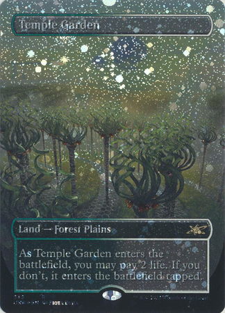 SALE／55%OFF】 寺院の庭 temple garden ギャラクシーフォイル foil