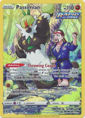 Passimian TG08 TG30 Holo Rare Passimian TG08 TG30 Holo Rare