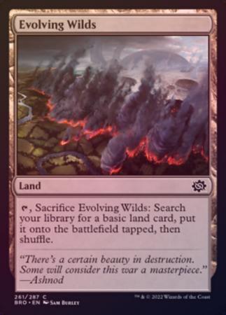 Evolving Wilds 261 287 Foil Evolving Wilds 261 287 Foil