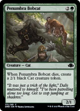 Penumbra Bobcat 172 261 Penumbra Bobcat 172 261