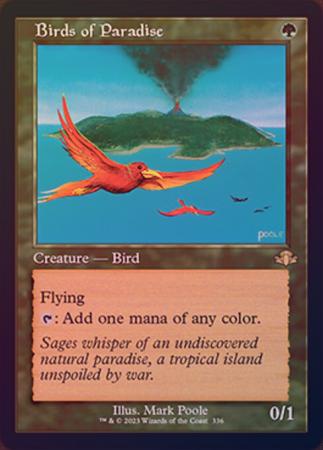 Birds of Paradise 336 Retro Frame Foil Birds of Paradise 336 Retro Frame Foil