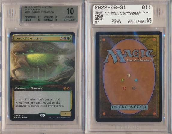 Professionally Graded Magic: the Gathering Cards - Troll And Toad