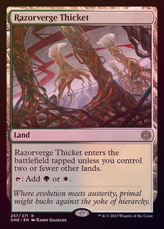 Razorverge Thicket 257 271 Foil Razorverge Thicket 257 271 Foil