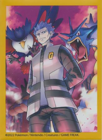 Champion's Path Charizard VMAX 65ct Standard Sized Sleeves