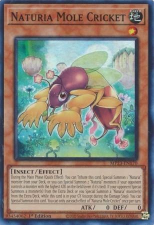 Naturia Mole Cricket MP23 EN170 Super Rare 1st Edition 