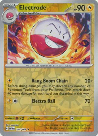 31 Voltorb/Electrode - Long Tail Memorabilia/Supplies