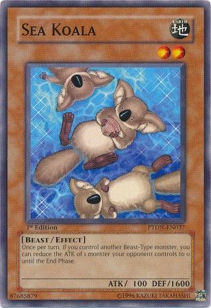 Sea Koala PTDN EN037 Common 1st Edition Phantom Darkness PTDN Singles Sea Koala PTDN EN037 Common 1st Edition Phantom Darkness PTDN Singles