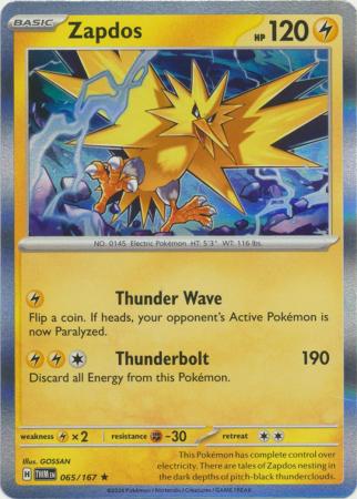 Zapdos 065 167 Holo Rare Zapdos 065 167 Holo Rare