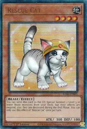 Rescue Cat (Alternate Art) - Yugioh | TrollAndToad