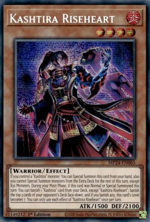 Store Yugioh lot Kashtira Set for Nigel