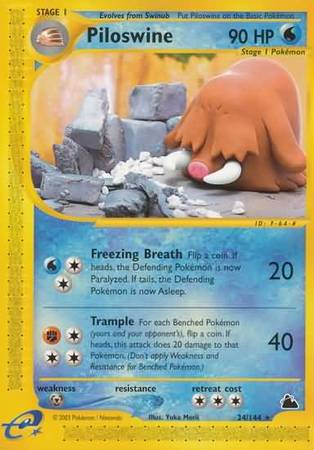 Piloswine 24 144 Rare Skyridge Singles Piloswine 24 144 Rare Skyridge Singles