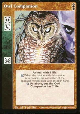 Owl Companion Owl Companion