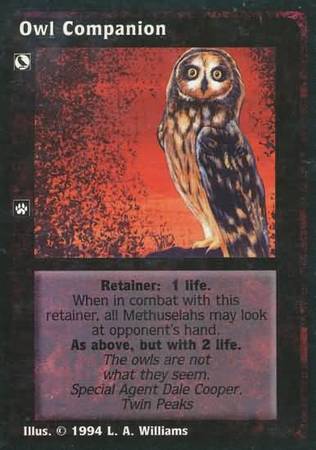Owl Companion Owl Companion