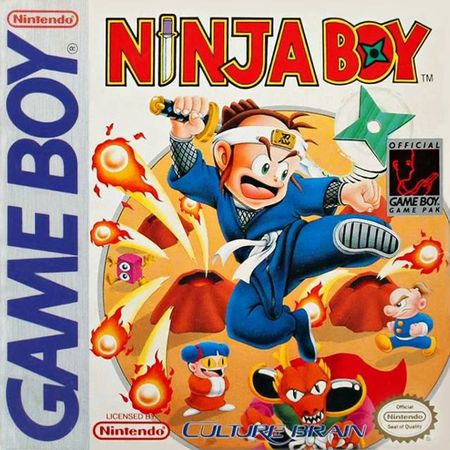 ninja boy video