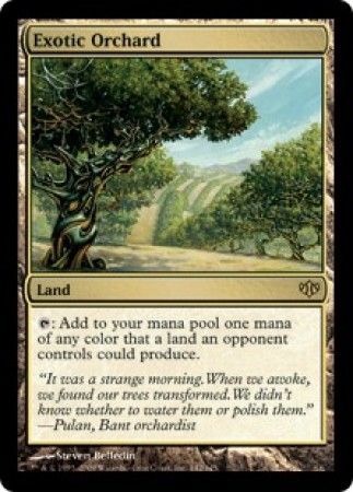 Exotic Orchard Exotic Orchard