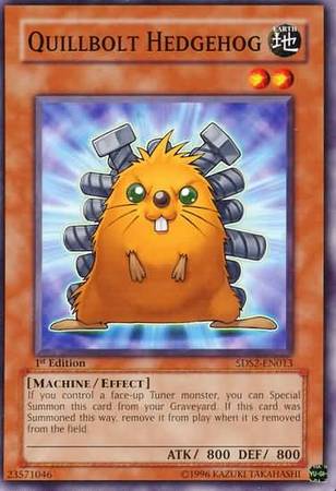 Quillbolt Hedgehog 5DS2 EN013 Common 1st Edition Starter Deck 5D s 2009 5DS2 1st Edition Singles Quillbolt Hedgehog 5DS2 EN013 Common 1st Edition Starter Deck 5D s 2009 5DS2 1st Edition Singles