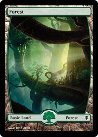 Forest 246 Forest 246