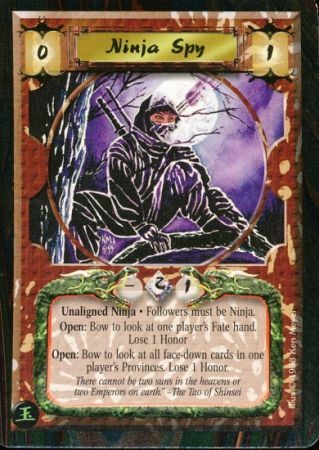 Ninja Spy The Hidden City Ninja Spy The Hidden City