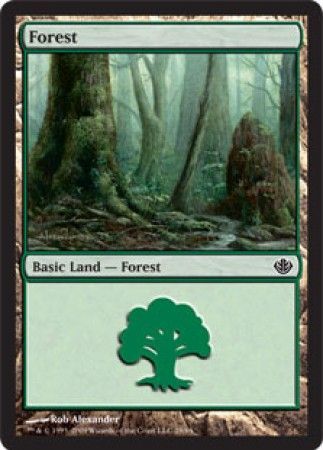 Forest 28 Forest 28