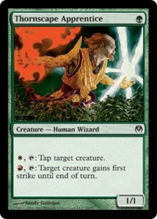 Thornscape Apprentice Duel Decks Phyrexia vs The Coalition Singles Thornscape Apprentice Duel Decks Phyrexia vs The Coalition Singles