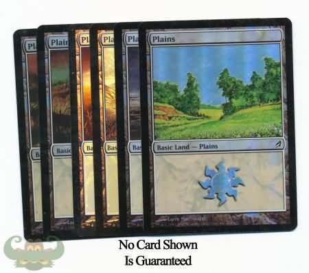 Random Foil Basic Plains Magic the Gathering Card Random Foil Basic Plains Magic the Gathering Card