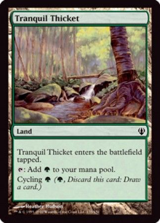 Tranquil Thicket 