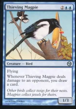 Thieving Magpie Thieving Magpie