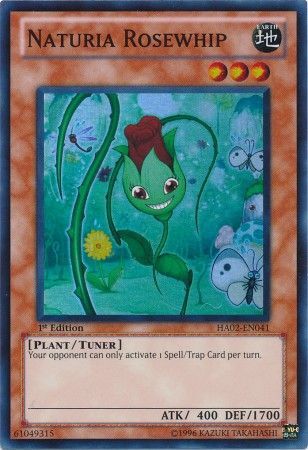 Naturia Rosewhip HA02 EN041 Super Rare 1st Edition Hidden Arsenal 2 HA02 1st Edition Singles Naturia Rosewhip HA02 EN041 Super Rare 1st Edition Hidden Arsenal 2 HA02 1st Edition Singles