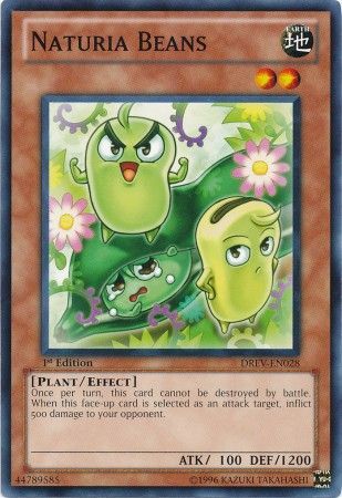 Naturia Beans DREV EN028 Common 1st Edition Duelist Revolution 1st Edition Singles Naturia Beans DREV EN028 Common 1st Edition Duelist Revolution 1st Edition Singles
