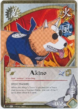 Akino 962 Common Akino 962 Common