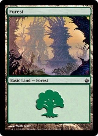 Forest 154 Forest 154