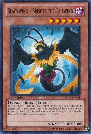 Blackwing Brisote the Tailwind STOR EN008 Common 1st Edition Storm of Ragnarok 1st Edition Singles Blackwing Brisote the Tailwind STOR EN008 Common 1st Edition Storm of Ragnarok 1st Edition Singles