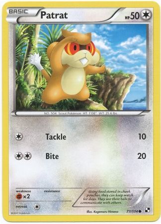 Patrat 77 114 Common Black White 1 Base Set Singles Patrat 77 114 Common Black White 1 Base Set Singles
