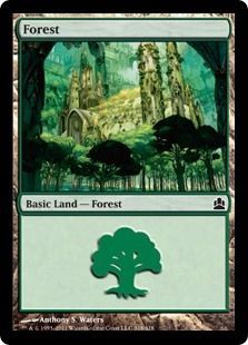 Forest 318 318 Forest 318 318
