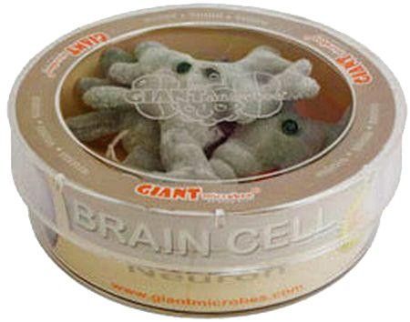 Brain Cell Petri Dish 3 Mini Plush Giant Microbes Giant Microbes Brain Cell Petri Dish 3 Mini Plush Giant Microbes Giant Microbes
