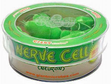 Nerve Cell Petri Dish 3 Mini Plush Giant Microbes Giant Microbes Nerve Cell Petri Dish 3 Mini Plush Giant Microbes Giant Microbes