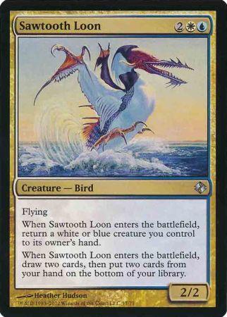 Sawtooth Loon 